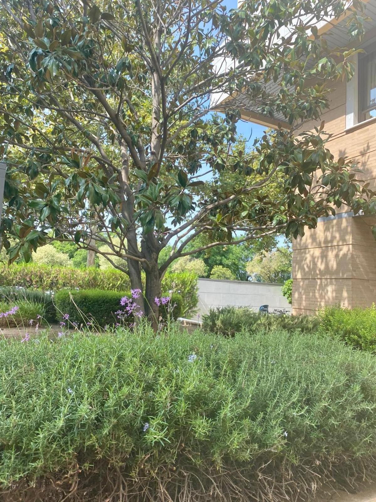 Tu Oasis De Lujo Junto Al Guadalquivir Apartamento Sevilha Exterior foto